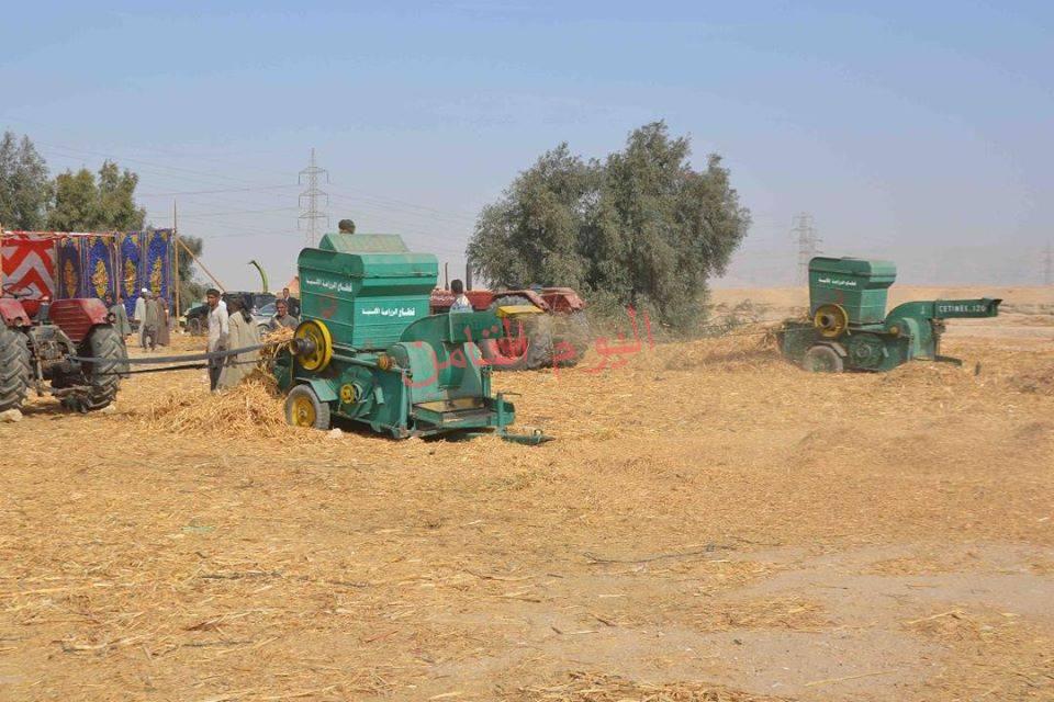 جهود محافظة الأقصر للحد من حرق مخلفات قصب السكر والموز