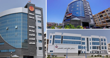 آليات علاج الأجانب