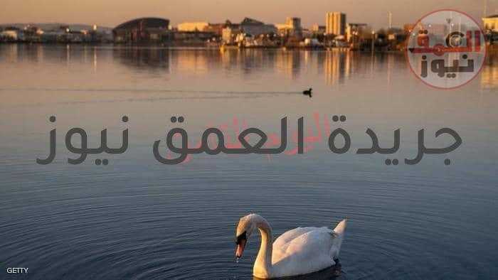 الطقس لن يساعد كثيرا بحسب الخبراء طبيب أميركي يحذر من الرهان الخاطئ