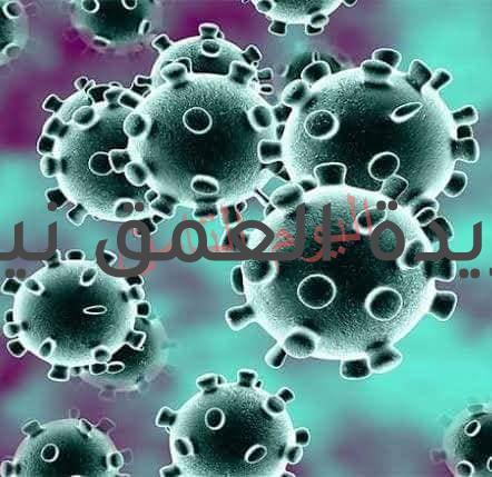 كورونا... رسالة الله للبشرية