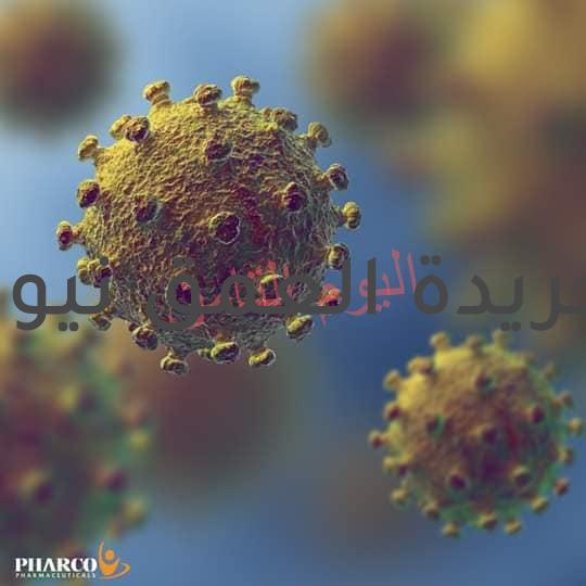 منطقة مبارك الصناعية بقويسنا منطقة موبؤة تفشي كورونا يهدد حياة الآلاف من العمال