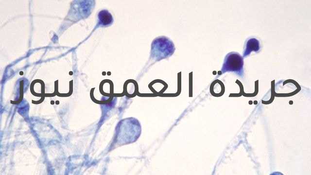 الفطر الأسود الخطر القادم بعد كورونا: