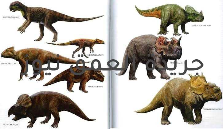 "أخطر أكتشاف حفريات في تاريخ الأرض فى دولة المغرب "