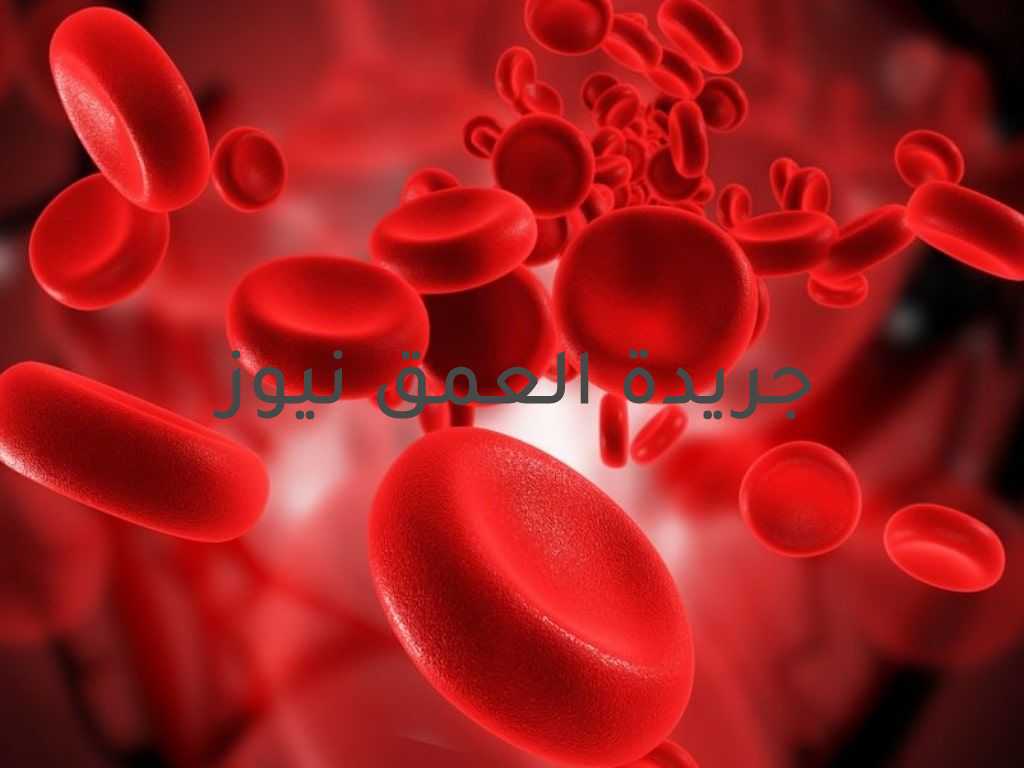 سرطان الدم (ابيضاض الدم)... أعراضه و كيفية علاجه كتبت/ جُمانة صابر يعد سرطان الدم من أخطر أنواع السرطان، حيث يبدأ سرطان الدم بالتكون في خلايا الدم البيضاء التي تتمتع بقدرة على صد و محاربة العدوى و التلوثات المختلفة. يتكون هذا النوع من السرطان في الأنسجة المسؤولة عن انتاج خلايا الدم، و التي تشمل نقي العظام و الجهاز اللمفي، و في حالة الإصابة بابيضاض الدم، ينتج نقي العظام في الجسم كمية كبيرة جدا من خلايا الدم البيضاء الشاذة التي لا يمكنها أن تقوم بوظائفها كما ينبغي. إن سرطان الدم ليس منتشرًا عند الأطفال فقط، فسرطان الدم له عدة أقسام رئيسية، جزء منها فقط منتشر لدى الأطفال. و يوجد عدة أعراض لمرض سرطان الدم، منها : 1-الحمى أو الارتعاد 2-التعب الدائم، الوهن 3-العدوى المتكررة 4-فـَقـْد الشهية أو انخفاض الوزن 5-انتفاخ الغدد اللمفاوية (Lymphatic nodules)، تضخم الكبد أو الطحال 6-سهولة النزف أو ظهور الكدمات 7-ضيق النفس خلال النشاط البدني أو عند صعود الدرجات 8-ظهور نقاط (بقع) صغيرة حمراء اللون على الجلد (نَزف محلي، موضعي) 9-فرط التعرّق، وخاصة في ساعات الليل 10-أوجاع أو حساسية في العظام يختلف سرطان الدم عن أنواع السرطان الأخرى في صعوبة علاجه، فابيضاض الدم (سرطان الدم) لا يتكون من كتلة نسيجية صلبة يستطيع الطبيب استئصالها. و يختلف مدى التعقيد حسب عدة عوامل، منها: السن، و الوضع الصحي، و نوع الابيضاض، و إذا تفشى المرض إلى أعضاء أخرى أم لا. يوجد عدة طرق متبعة لمحاربة سرطان الدم و هي: 1-المعالجة الكيميائية (Chemotherapy) 2-مثبطات الكيناز (Kinase Inhibitors) 3-المعالجة الإشعاعية (Radiotherapy) 4-زرع النقي (Bone Marrow Transplantation) 5-زرع خلايا جذعية (Stem Cells Transplantation). و تستمر الجهود في جميع دول العالم في محاولة اكتشاف علاج مضمون لجميع أنواع السرطان، و محاربة هذا المرض و القضاء عليه