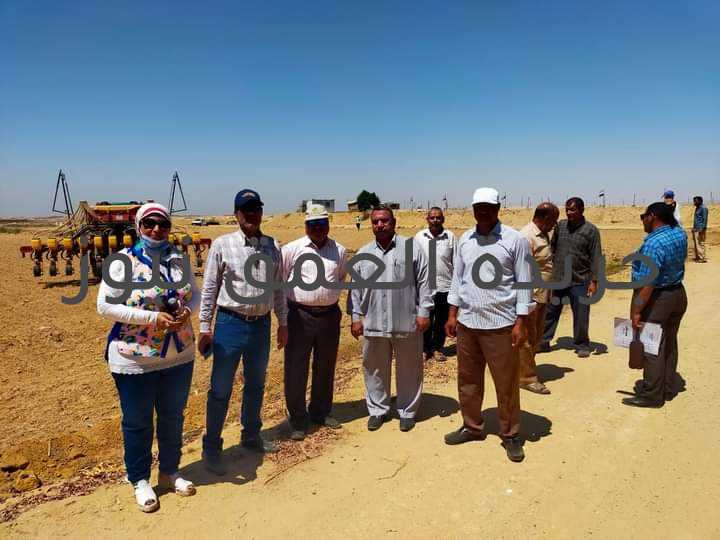 وكيل زراعة الفيوم يتابع لأول مرة زراعة دوار الشمس بنظام الزراعة الآلية والري الحديث والتعاقد كتبت/ فاطمة رمضان تنفيذا لتعليمات السيد القصير وزير الزراعة واستصلاح الأراضي وتوجيهات الدكتور أحمد الأنصاري محافظ الفيوم، تابع اليوم الاستاذ الدكتور ربيع مصطفى وكيل وزارة الزراعة بالفيوم ثمار التعاون ما بين مديريه الزراعه بالفيوم ومركز الزراعه التعاقدية وقطاع الزراعه الآلية بالوزارة زراعة 20 فدان محصول دوار الشمس الزيتي بكوم أوشيم التابعه لمركز طامية تحت شعار ثلاثة في واحد بمعني زراعة تعاقدية والزراعة الآلية بالبلانتر والزراعة بالري الحديث بالتنقيط وذلك بحضور المهندس عماد الحداد وكيل الاداره الزراعيه بمركز طاميه والمهندس ابراهيم مدير عام المحاصيل الزيتية، والمهندس حمدى عبد القوي رئيس الإدارة المركزية لمحطات الزراعية الاليه بالفيوم والمهندس ممدوح سعد مدير عام منطقة غرب الفيوم للزراعة الآلية والمهندس نصر شعبان رئيس قسم المكافحة والمهندس أسامة محمد مسؤول المحاصيل الزيتية بالإدارة، وذلك في مزرعة شركة الإخوة للإستثمار الزراعي واستصلاح الأراضي. أشار وكيل الوزارة الزراعة، أن نظام الرى الحديث يساهم فى الحفاظ على المياه ويساهم في زيادة نسبة الاكتفاء الذاتى من المحاصيل الزراعية بجانب زيادة الإنتاجية و يأتى ضمن اهتمام القيادة السياسية لتحديث منظومة الري. ولفت وكيل الوزارة إلى أن النبات فى نظام الرى الحديث يحصل على السماد المطلوب له، وهو ما يساهم في زيادة الإنتاجية وارتفاع المكسب، موضحا أن منظومة الري الذكى التي يوجه بها الرئيس السيسى هى الأفضل في العالم، مشيرا إلى أن الري الحديث له فوائد كثيرة. موضحا استخدام الميكنهً الزراعية كالحرث الجيد والتسويه بالليزر وكذلك استخدام البلانتر في عملية الزراعه وسيتم استخدام الات للعزيق والحصاد والدراس. وأشار أنه يتم التعاقد على زراعة عباد الشمس لاستغلال هذه المحاصيل في توفير سلعة الزيت لسد حاجة البلاد من المحاصيل الزيتية وتقليل فاتورة الإستيراد من هذه السلعة الاستراتيجية وذلك في إطار السياسة الزراعية الجديدة التي تتبناها الحكومة المصرية لتطوير الزراعة وذلك يعتمد على تحرير عقود بين المزارعين و المديرية.