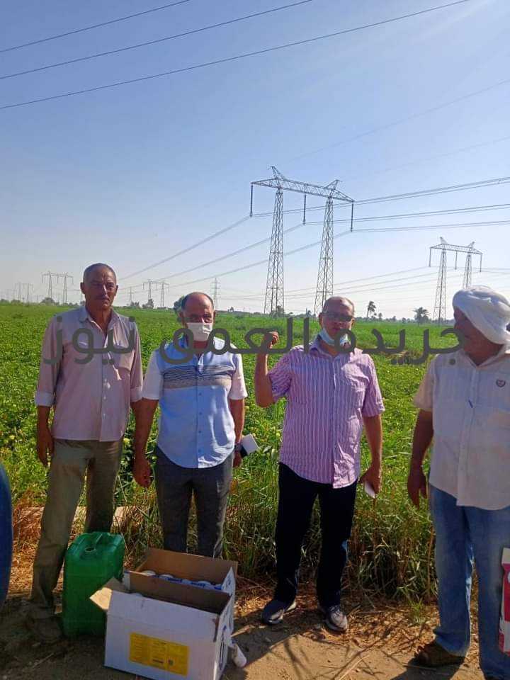 وكيل زراعة الفيوم: الرش الدوري لديدان اللوز فى محصول القطن بجميع المراكز كتبت/ فاطمه رمضان صرح الأستاذ الدكتور ربيع مصطفى وكيل وزارة الزراعة بالفيوم تنفيذا لتعليمات السيد القصير وزير الزراعة واستصلاح الأراضي بالاهتمام بالزراعات وخصوصا القطن المصري قامت إدارة المكافحة بقيادة المهندس فؤاد محمد مدير عام إدارة المكافحة بالمديرية بالتنسيق مع المهندس نصر محمود مدير عام الشئون الزراعية ومديري الادارات الزراعية بالمراكز بتشكيل لجان بجميع المراكز لمكافحة ديدان محصول القطن وان المبيد المستخدم هو البستان بمعدل واحد لتر للفدان وقد راعت اللجنة الخروج للرش فى الصباح الباكر قبل اشتداد الحرارة حفاظا على محصول القطن حيث بدأت الحملة يوم الخميس 24/6/2021. يحتل محصول القطن في مصر مكانة متميزة بالنسبة للمحاصيل الحقلية، فهو أحد المحاصيل التصنيعية التصديرية المهمة، حيث أنه من الناحية التصنيعية يستخدم القطن الشعر في صناعة الغزل والنسيج، أما بذرة القطن فهي أحد مصادر الزيوت المهمة ومخلفاتها تستخدم في تصنيع الأعلاف. كما يعد القطن من أهم المحاصيل التصديرية لما اشتهر به القطن المصري في الأسواق الخارجية بصفاته المتميزة من حيث طول التيلة، والمتانة، والنعومة والتجانس. خلال ذلك قامت الإدارة الزراعية بمركز طامية بقيادة المهندس عماد الحداد وكيل الاداره الزراعيه بالرش الدوي بمركز طامية لمحصول القطن بحضور المهندس نصر محمود خليفة رئيس الشؤون الزراعية بمديرية الزراعة والمهندس فؤاد هلال مدير إدارة المكافحة بالمديرية ولجنة المديرية المهندس ممدوح والمهندس زينهم عاشور أخصائي المحافظة والمهندس فكرى سلطان والمهندس هانى عبد الله والمهندس ممدوح ابراهيم بالمرور والإشراف على لجان الرش بنواحي معصرة صاوي ودار السلام وأبو طالب وكفر محفوظ وسرسنا وبندر طامية وتلاحظ أثناء المرور انتظام سير العمل بكل لجنة على حدة وتوجهت لجنة الإدارة بعد مواعيد الرش للعمل والإشراف على لجنة فحص عينات اللوز. كما قامت الإدارة الزراعية بمركز إطسا بقيادة المهندس ماهر ابورحيل مدير الإدارة حيث قامت اللجنة المشكلة المهندس عباس العشيري رئيس قسم المكافحه بالادارة والمهندس فيصل رجب مكافحه الاداره والمهندس لطفي عاشور مكافحه حقليه والمهندس جمعه محمد عبدالسلام وكيل قطاع المركز ومديري جمعيات مطول و عتامنه المزارعه وبحر أبو المير. كما قامت الإدارة الزراعية بمركز سنورس بقيادة المهندس أحمد عبد الحفيظ مدير الإدارة بمتابعة الرش الدوري لديدان اللوز فى محصول القطن، بحضور اللجنة المشكلة من المديرية والإدارة الزراعية بمركز سنورس المهندس عبد التواب حسن مفتش مكافحة سنورس. بمركز سنورس ناحية جبلة وأثناء المرور، تلاحظ أن لجنة الرش تعمل بكفاءة فى وجود مسؤل العلاج المهندس شعبان عبدالباقي وان المبيد المستخدم هو البستان بمعدل واحد لتر للفدان وقد راعت اللجنة الخروج للرش فى الصباح الباكر وقبل اشتداد الحرارة حفاظا على محصول القطن. وتم المرور على النواحي الاتيه مركز طاميه جمعيه كفر محفوظ الوحده 3 المساحه 33 فدان جمعيه م صاوى الوحده 9 المساحه 36 فدان جمعيه دار السلام الوحده 22 المساحه 30 فدان جمعيه ابو طالب الوحده 32 المساحه 27 فدان مركز سنورس ناحيه سنورس ثانى الوحده7 المساحه 27 فدان ناحيه الاخصاص الوحده 38 المساحه 30 فدان.