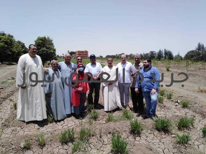 وكيل زراعة الفيوم زيارة لمزرعة فواكه بعد تطويرها بنظم الري الحديثة كتبت/ فاطمه رمضان تنفيذا لتوجيهات السيد القصير وزير الزراعة وإستصلاح الأراضى بضرورة تطوير نظم الرى بالغمر وتغيير لنظام الرى الحديث بهدف زيادة كفاءة استخدام الموارد المائية، قام الاستاذ الدكتور ربيع مصطفى وكيل وزارة الزراعة بالفيوم بزيارة مزرعة المزارع الحسينى مصطفى محمد بناحية سنهور القبلية يرافقة خلالها مدير إدارة سنورس الزراعية المهندس احمد عبد الحفيظ والمهندس ياسر لطيف مدير إدارة الأراضى و المياة والدكتورة أمانى صيام مديرة معمل الترايكوجراما بالفيوم. و ذلك بحضور مجموعة من المزارعين، وخلال الزيارة تبين أنه قد تم تحديث الرى فى ١٠ افدنة منزرعة باشجار الليمون وجارى تنفيذ التحديث ل١٠ افدنة أخرى منزرعة حشيشة الليمون وأشجار مانجو وسيتم تحديث ٦ افدنة أخرى كمرحلة ثالثة. و تلاحظ أثناء الزيارة ان أشجار المانجو محملة بثمار المانجو والمحصول جيد كما ونوعا، و استمع وكيل الوزارة أثناء الزيارة إلى كافة المقترحات وعرض سيادتة كافة التسهيلات لتطبيق منظومة الرى الحديث وأفاد صاحب المزرعة بأنه لم يكن فى مقدورة قبل تطبيق منظومة الرى الحديث زراعة ارضة كاملا، حيث أن تطبيق منظومة الري الحديث وفر ٥٠٪ من المياة، و قامت الدكتورة أمانى صيام أثناء الزيارة بشرح كافي لمقاومة إصابات حشيشة الليمون.