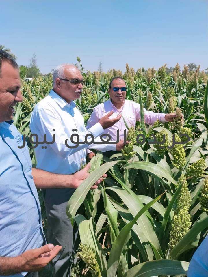 زيارة مفاجأة لرئيس قطاع الخدمات والمتابعة بوزارة الزراعة الي محافظة الفيوم كتبت فاطمه رمضان قام الدكتور عباس الشناوى رئيس قطاع الخدمات والمتابعة بوزارة الزراعة بزيارة مفاجأة لمحافظة الفيوم ويرافقه الدكتور حاتم على ابراهيم رئيس الإدارة المركزية لإنتاج التقاوي لمتابعة الزراعات التعاقدية والمحاصيل الصيفية وبحث مشاكل المزارعين وذلك بناء على تعليمات السيد القصير وزير الزراعة واستصلاح الأراضي. وكان في استقبالهم الاستاذ الدكتور ربيع مصطفى وكيل وزارة الزراعة بالفيوم وذلك بحضور المهندس عماد محمود الحداد وكيل الإدارة الزراعية بطامية والمهندس محمد عبدالجواد مدير إدارة إنتاج التقاوي بالفيوم والمهندس ابراهيم مدير عام إدارة المحاصيل الزيتية بالمديرية والمهندس اسامة محمد حافظ مسؤول المحاصيل الزيتية والمهندس نصر شعبان رئيس قسم المكافحة بالإدارة والمهندس حسني امين قسم المكافحة حيث تفقد الزراعات الصيفية بمركز طاميه محصول القطن والذرة رفيعة والزراعات التعاقدية عباد الشمس الزيتي باصنافه سخا ٥٣ وسيرينا ١ وذلك بنواحي مركز طامية الروضة وخليفة يونس والمقاتلة ناصر أشار الشناوى إن الزراعات التعاقدية تعمل على بناء مجتمع زراعي متكامل فى مصر يوفر كل ما يحتاجه المواطن المصري من غذاء ويقلل فاتورة الاستيراد. وأضاف عباس أن تفعيل قانون الزراعات التعاقدية الذي أصدرة الرئيس السيسي بقرار جمهوري وحمل رقم 14 لسنة 2015، بإنشاء مركز الزراعات التعاقدية، جاء من أجل حماية الزراعة والمزارعين من الخسائر الفادحة وضمان حق الفلاح المصري. وأوضح الشناوى أن الزراعة التعاقدية، هي التي تقوم على تحديد سعر المحصول مسبقا، بين وزارة الزراعة والجمعيات التعاونية، وهى عبارة عن عقد بين المزارع أو صاحب الجمعية التعاونية التي تحدد السعر وتقوم بتسويق المحصول. وتابع أن تطبيق القانون يعمل على تحقق عائد مجزي للفلاح وبالتالي نستطيع تلبية احتياجات الدولة سواء كان في التصدير أو الإنتاج المحلي، وبتفعيلها سوف تكون الأداة المثالية للدولة لتفعيل السياسات الزراعية المتكاملة التي تخدم الفلاح والمستهلك والمستثمر، وهي المعادلة الصعبة التي نعمل على تحقيقها. وأشار إلى أن 50% من مشكلات الفلاحين تحل من خلال تطبيق هذا القانون الذي طالبت القيادة السياسية بتطبيقة فى مبادرة حياة كريمة التى أطلقها الرئيس عبدالفتاح السيسي. فيما تعهد وزير الزراعة، بالتنسيق مع الوزارات المعنية لتفعيل الزراعة التعاقدية لبعض المحاصيل تدريجياً، حيث سيتم البدء التدريجي لبعض المحاصيل مثل فول الصويا وسيتم البحث في التوسع فيها مستقبلاً على ضوء نتائج التجربة بالإحاطة بأن من أهم متطلبات الزراعة التعاقدية هو توافر الجهة التي تقوم بالشراء والتي يتم التعاقد معه. كما أكد الشناوى أن هناك توجيهات مشددة من وزير الزراعة بمنع أي تلاعب في توزيع الأسمدة وتوفيرها للمزارعين في مواعيدها المناسبة وأيضا القضاء على السوق السوداء ومحاسبة المقصرين والضرب بيد من حديد على من تسول له نفسه التلاعب في المنظومة والأضرار بالمزارعين مؤكدا أن حملات التفتيش مستمرة في كل المحافظات.