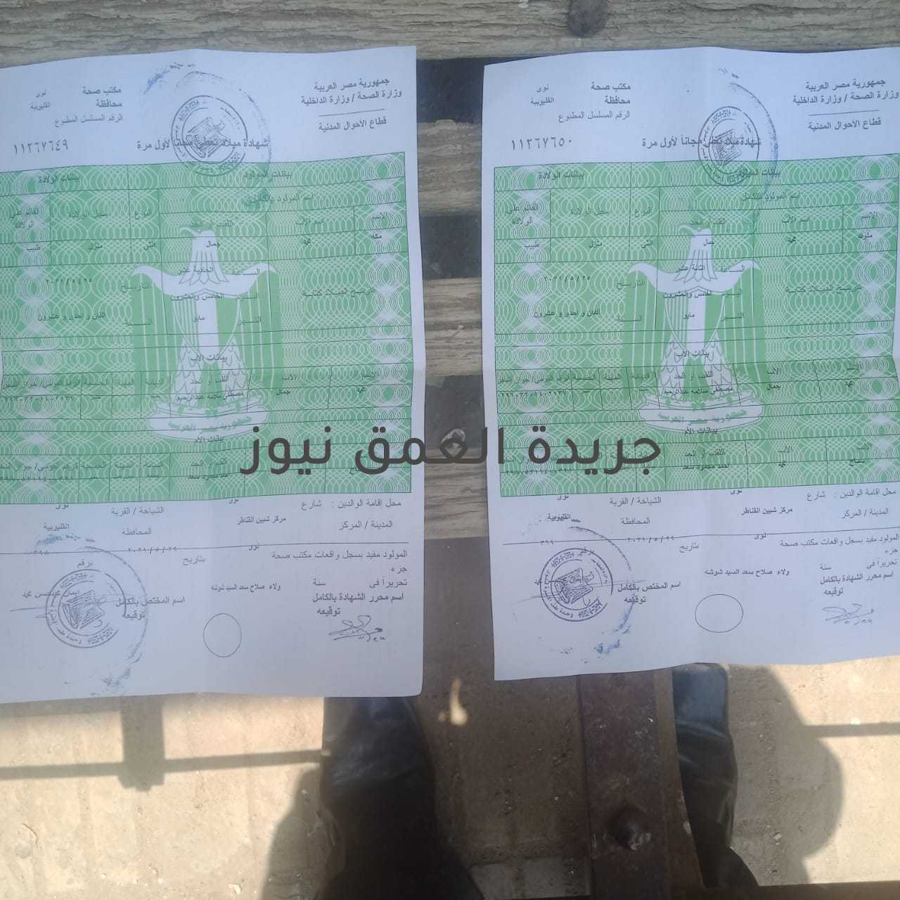 صحة شبين القناطر توقف صرف الألبان للأطفال الرضع شهرين على التوالي. تحقيق : محمد صوابى على الرغم من مبادرة الرئيس عبد الفتاح السيسي رئيس الجمهورية بتوفير حياة كريمة لجميع المواطنين و الأطفال ضمن مبادرة الرئيس فى جميع القرى و المدينة بشبين القناطر الا ان السيدات و الأطفال بجميع القرى والمدينة يعانون أشد المعاناة من عدم صرف علبة اللبن للأطفال الرضع وذلك منذا شهر يونيو 2021 قامت اللجنة المشكلة من قسم الأمومة والطفولة بالإدارة الصحية بشبين القناطر و تم الاتفاق مع أعضاء اللجنة بعدم صرف علب الألبان للأطفال الرضع حديث الولادة و الذين مضى على تاريخ ميلادهم شهرين دون أسباب ؟!! معاناة الأهالي في السطور التالية : يقول محمد أحمد شومان من إحدى القرى بشبين القناطر حضرت انا وزوجتي و معنا الطفل ( محمد ) وعمره شهرين الي الإدارة الصحية شبين القناطر ودخلت زوجتي اللجنة باعتماد استمارة صرف علبة اللبن قالت الدكتورة شيماء صابر لا تستحق الصرف و كانت لوحدها وذلك بتاريخ 25 / 7 /2021 و لا توجد معها اي أعضاء من اللجنة المشكلة وهذه ليست أول مرة كل مرة نحضر و نجد العذاب ألوان وعدم أحترام المرأة و عدم الاهتمام بالطفل و بل تجد الإهمال و عدم المساعدة من إنهاء إجراءات صرف الألبان نطالب الدكتورة هالة زايد وزيرة الصحة و الدكتور خالد عبد الغنى وكيل وزارة الصحة بالقليوبية سرعة التدخل لحل المشكلة حيث أنني عامل بأجر يومي و حاليا متوقف عن العمل ولا أستطيع شراء علبة اللبن وتقول دعاء مصطفى بيومي عندي بنتين أحدهم عمرها سنة و نصف و الأخرى شهرين الين أحمد عبد الحميد السيد و مقيمة شبين القناطر حضرت اللجنة رفضت عدم صرف علب اللبن للطفلتين على الرغم أنني أعاني من ضعف عام و أنيميا في الدم و اللبن فى ضعيف جدا و دول إثنان أول مرة نحن السيدات نشعر بالعذاب و شدة المعاناة من عدم صرف الألبان لذا نطالب اللواء عبد الحميد الهجان محافظ القليوبية و د خالد عبد الغنى وكيل وزارة الصحة بالقليوبية بإعادة الدكتورة وفاء الطوخي مدير المركز الطبي بشبين القناطر حيث كانت مشكلة لجنة من خلال الإدارة الصحية و يتم الصرف لجميع السيدات الرضع دون مشاكل و لم يتم رفع اي شكاوى لاي جهة مسؤلة وكانت تصرف طبقا لقواعد و تعليمات و شروط الصرف و يقول ولي أمر لي طفلتين توائم مكة محمد جمال و ملوك محمد جمال قمت أنا وزوجتي بالعرض على اللجنة ورفضت صرف اللبن التوائم دون أسباب و علمنا من اللجنة لا يتم صرف أي علبة لبن لأي سيدة مهما كانت قامت بالوضع حديثا وهذه تعليمات المديرية وزارة الصحة و يفضل شراء اللبن من الخارج و يتسأل هدى محمد أحمد و فارس أحمد عبد الحكيم ونجاة محمود شعلان من أحدى القرى الي متى نشكوا و لمن نشكوا من سوء المعاملة و عدم مساعدة الإدارة الصحية في توفير علب الألبان للأطفال الرضع رحمة بهم والأب الفقير محدودي الدخل وطبقا لتوجيهات الرئيس عبد الفتاح السيسي رئيس الجمهورية لتوفير حياة كريمة للأسر الأكثر احتياجا ؟! و من جانبه تم الإتصال بالدكتورة سعاد محمد إبراهيم و كيل مديرية الصحة بالقليوبية و أفادت بأن سوف يتم إرسال لجنة من التفتيش المالي والإداري و الأمومة والطفولة بالمديرية لبحث وحل المشكلة فورآ