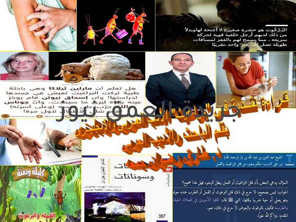 قراءة نقدية فى براغيث الأدب العربى والإنجليزى Fleas In Arabic And English Literature بقلم الباحث والأديب المصرى د.طارق رضوان جمعه المقدمـــة: في رواية عند أبي يعلى بسند فيه مقال أيضًا عن أنس رضي الله عنه قال: "كنا عند رسول الله صلى الله عليه وسلم، فلدغت رجلًا برغوثٌ فلعنها، فقال النبي صلى الله عليه وسلم: ((لا تلعنها؛ فإنها نبهت نبيًّا من الأنبياء للصلاة)) - وفي رواية البزار: ((لا تسبه؛ فإنه أيقظ نبيًّا من الأنبياء لصلاة الصبح((. فهل بعد هذا ستنصرف عن قراءة مقالى وتستخف به؟! فلدى المزيد فيه إن تابعته وتقسيت ما به.وأعدك بعد قراءة المقال لن تقتل بعد اليوم برغوثاً. فبراعة وروعة الأدب تتلخص وتتجسد فى تناوله كل مجالات الحياة، وبصوره واستعارته البديعه، تمكن من جذب القارىء فأدمن وعشق كل تفاصيله. وببساطة يمكننى أن أنتظركم فى نهاية المقال لأشهد تغير فكركم وإعجابكم بما سطره الأدباء والشعراء عن حشرات الشرق والغرب. أن البرغوث الأدبى فى قصيدتنا اليوم ستجده مختلفاً تماماً عن براغيث الواقع الشرسه المخيفه. المحتويات: 1- نظرة الأدب للأشياء المعتادة 2- كيف رأى الشاعر العربى البرغوث؟ 3- كيف رأى الشاعر الإنجليزى البرغوث؟ 4- ما دور البرغوث العربى؟ 5- ما دور البرغوث الإنجليزى؟ 6- هل قدرة البرغوث صغيرالحجم فاقت قدرةالبشر؟ 7- ختاماً، هل تتمنى أن يكون لك برغوث؟ 8- ما النظرة الفلسفية والدينية فى القصيدة 9- الفرق بين برغوث كليلة ودمنة وبرغوث جون دن نظرة الأدب للأشياء المعتادة الأديب والشاعر فنان له نظرة مختلفة عن سائر البشر.فهو يرى ويحول الشىء المعتادغلى صورة ساحره وجنة جميلة تتمنى أن تحيا بها. فلا داعى للدهشه حين نتحدث اليوم عن حشرة فى سياق أدبى وفكاهى له دلاله وخلفه فصاحه وذكاء. يكفيكمن الفكاهة حين يقفز هذا البرغوث فتعجز عن إعتقاله والنيل منه، وكأنه يسخر منك ،فهو قد يكون طفل يداعبك ويريد أن يأنس بك أو قديكون فى غاية الجوع ويريد أن يفترسك. كيف رأى الشاعر العربى البرغوث؟ ولكن تناولها الشعراء بشيء من السهولة. وقد تفنن العرب في التعبير عن معاناتهم من البراغيث، بل فصاغوا هذه المعاناة فى قصص تسر النفوس وتضحك العبوس. يقول مجد الدين أبو الميمون الكناني في البراغيث: " ومعشر يستحيل الناس قتلهم ... كما استحلوا دم الحجاج في الحرم إذا سفكت دماً منهم فما سفكت ... يداي من دمه المسفوك غير دمي. أما أبو الهلال العسكري يحكي لنا حكاية ليلة حرم النوم فيها فيقول: وبدا فغناني البعوض مطرباً ... فهرقت كاس النوم إذ غناني ثم انبري البرغوث ينقط أضلعي ... نقط المعلم مشكل القرآن." والبراغيث أحد الباءات الثلاثة (البراغيث. البق. البعوض) . أسماؤها جميعا مبدوءة بحرف الباء.يقول أبو الحسن المقديسي: "ثلاث باءات بلينا بها ... البق والبرغوث والبرغش / ثلاثة أوحش ما في الورى ... ولست أدري أيها أوحش. / وقال إعرابي يشكو ليلة مضجرة مع البراغيث والبعوض. / ليل البراغيث والبعوض ... ليل طويل بلا غموض / فذاك ينزو بغير رقص ... وذا يغني بلا عروض." وبعض الشعراء يستخدمون البراغيث في سياقات أخري أكثر إيلاماً، فهذا شاعر يريد أن يصف قوماً بالبخل فيقول إنه وجماعة من أصحابه باتوا ضيوفاً عند هؤلاء القوم الذين اشتهروا بحلاوة حديثهم، فما وجدوا عندهم إلا بخلاً بالطعام، وسوء مرقد، فقال: " وليلة بتنا لدي معشر ... قد غرت الناس أحاديثهم / فما أكلنا عندهم قدر ما ... قد أكلت منا براغيثهم!!" كيف رأى الشاعر الإنجليزى البرغوث؟ على الجانب الأخر ، فى الأدب الإنجليزى تجد الشاعر "جون دن John Donne" الذى كتب بعمق غير مسبوق عن البرغوث. حيث قام بإجراء مقارنة بين أشياء متنوعة وغريبة. كتب جون دون هذه القصيدة عندما كان شابًا يتدرب ليكون محامياً ، لذلك يعتقد الكثير من العلماء أنها كتبت لإثارة إعجاب أصدقائه الذكور. في وقت لاحق من حياته ، انخرط دون بشكل جدي في الدين ، وانتهى به المطاف عميدًا لكاتدرائية القديس بولس ، لندن ، في عام 1621. لم تُنشر هذه القصيدة حتى عام 1633 ، بعد عامين من وفاة دون. لقد ثار دن على الشعر الإليزابيثي، وفتح قاموسه الشعري لكل مفردات التجربة الإنسانية، وما تستدعيه من صور مثل: قضايا المحاكم، والرحلات الاستكشافية والفقه الكنسي وقذائف المدفعية والرياضيات والفلك وعلم النبات والجغرافيا، وغير ذلك مما جاء في أغنياته وسوناتاته. البــــر غــــوث لاحظ هذا البرغوث ، وضع علامة عليه ، كم هو قليل كما تنكرني. لقد امتصني أولاً ، والآن تمتصك ، وفي هذا البرغوث اختلط دماؤنا. أنت تعلم أنه لا يمكن قول هذا خطيئة ولا عار ولا خسارة للعذراء ، لكن هذا ممتع قبل أن يجذب ، ويتضخم المدللين بدم واحد من اثنين ، وهذا ، للأسف ، أكثر مما سنفعله. أوه ابق ، ثلاثة أرواح في برغوث واحد احتياطي ، حيث نحن تقريبا ، لا أكثر من المتزوجين. هذا البرغوث هو أنت وأنا ، وهذا سرير زواجنا ، وهيكل زواجنا. على الرغم من ضغينة الوالدين ، وأنت ، ستلتقي ، ومنعزل في هذه الجدران الحية للطائرة. على الرغم من أن الاستخدام يجعلك عرضة لقتلي ، دعونا لا نضيف إلى ذلك ، قتل النفس يكون ، وتدنيس المقدسات ثلاث ذنوب في قتل ثلاثة. قاسية ومفاجئة ، لديك منذ ذلك الحين أظفر أظافرك ، في دم البراءة؟ حيث يمكن أن يكون هذا البرغوث مذنب ، إلا في تلك القطرة التي امتصتها منك؟ لكنك انتصرت وتقول إنك أنت لا تجد نفسك ولا أنا أضعف الآن ؛ هذا صحيح. ثم تعلم كم هي خاطئة ، تكون المخاوف: فقط الكثير من الشرف ، عندما تتنازل عني ، سوف تضيع ، لأن موت البرغوث هذا أخذ منك الحياة. THE FLEA Mark but this flea, and mark in this, How little that which thou deniest me is; It sucked me first, and now sucks thee, And in this flea our two bloods mingled be; Thou know’st that this cannot be said A sin, nor shame, nor loss of maidenhead, Yet this enjoys before it woo, And pampered swells with one blood made of two, And this, alas, is more than we would do. Oh stay, three lives in one flea spare, Where we almost, nay more than married are. This flea is you and I, and this Our marriage bed, and marriage temple is; Though parents grudge, and you, w'are met, And cloistered in these living walls of jet. Though use make you apt to kill me, Let not to that, self-murder added be, And sacrilege, three sins in killing three. Cruel and sudden, hast thou since Purpled thy nail, in blood of innocence? Wherein could this flea guilty be, Except in that drop which it sucked from thee? Yet thou triumph’st, and say'st that thou Find’st not thy self, nor me the weaker now; ’Tis true; then learn how false, fears be: Just so much honor, when thou yield’st to me, Will waste, as this flea’s death took life from thee. ركز جون دون على حشرة كانت مصدر إزعاج شائع في العصر الإليزابيثي - البراغيث - وتحولها إلى استعارة جنسية. إن استخدام مثل هذا المخلوق المزعج لمثل هذا التأثير الجيد هو انتصار شاعري. تدور هذه القصيدة حول عادة شعراء العصر الإليزابيثى فى إستخدام الحجة والدليل والإقناع والإستعارة الموسعة. فنجح "جون دن" فى إقناع حبيبته فى إنشاء ترابط جسدى بينهما عن طريق البرغوث...كيف؟ تم تصميم البرغوث ليعكس الأبطال الثلاثة ، البراغيث والرجل والمرأة ، لذلك هناك ثلاثة مقاطع متناغمة وثلاثة في كل مقطع وثلاثة مقاطع. في المقطع الأول ، يكون المتحدث رائعًا ومنطقيًا ويستخدم لغة بسيطة وإيجابية في الغالب لتسليط الضوء على أفعال البراغيث. يطور المقطع الثاني الحجة من خلال إدخال الصور واللغة الدينية واللاهوتية. هذا يزيد من أهمية البراغيث. في المقطع الثالث المتحدثة ، وهي تدرك أنها قتلت البراغيث ، تقترب من الاعتراف بالهزيمة. The Flea" " دراما استفزازية وحميمة ، مع عناصر نفسية ولاهوتية ، أسئلة جنسية وأخلاقية خطيرة ولكنها تفعل ذلك بطريقة مرحة قاتمة. قصيدة تأخذ القارئ إلى قلب مكان حميمي. هنا يجلس رجل وامرأة ، ربما على السرير ، والرجل يشير إلى وجود برغوث ، وهو أمر شائع جدًا في عصر النهضة ، في منتصف القرن السادس عشر. امتص هذا الطفيلي الصغير مؤخرًا الدم من كلاهما ، كما هي غريزتهما ، لذلك ينتهز الرجل هذه الفرصة لتقديم حجة من أجل الاتحاد الجنسي للمرأة ، بناءً على تصرفات البراغيث المتضخمة الآن. كلها عملية طبيعية تمامًا ، لا تنطوي على خطيئة أو خجل أو فقدان للعذرية. هذه الكلمة تعني في الواقع غشاء البكارة ، لذلك يمكننا أن نفترض أن المرأة عذراء. دمهم يختلط ، وهو عمل ناجح للبراغيث الذي لا يضطر إلى عناء المجاملات أو السحر أو الوعود . المرأة على وشك قتل البراغيث ولكن الرجل أوقفها ... أوه ، ابق. يفترض أن البرغوث مقدس ، رمز للزواج ، وأن قتله يرقى إلى تدنيس المقدسات. تتجاهله. ليس لديها أي من هذه الرمزية الدينية أو المبالغة. من المثير للاهتمام أن نلاحظ أنها صامتة في جميع أنحاء القصيدة ولكنها تمتلك كل القوة. تقتل البراغيث بأظافرها. عمل صغير ، عواقب وخيمة. بقتل الطفيلي ، تكون المرأة قد أنهت الجدل فعليًا ، يكاد الرجل يقول نفس الشيء ... `` أنت تنتصر '' ... تركهما على السرير على قدم المساواة. ومع ذلك ، يبدو أن هناك تحريفًا في الأسطر الثلاثة الأخيرة. يعترف الرجل بأنها يمكن أن تكون على حق ... "هذا صحيح" ... ولكن ، في محاولة أخيرة لكسبها . لذلك يُترك القارئ للتفكير في الجدل ، ليتذوق الدراما المصغرة ويستنتج أن نتيجة هذا اللقاء القصير لن تُعرف أبدًا. ما النظرة الفلسفية والدينية فى القصيدة؟ يحتوي البرغوث على صور دينية قوية في المقطع الثاني. المتحدث ، بعد أن أوقفه مؤقتًا سيكون عشيقته من قتل البراغيث - أوه ابق - يقول إنهم `` أكثر من المتزوجين ''. بالإضافة إلى ذلك ، فإن البرغوث هو رمز لسرير الزواج ، لذا فإن قتل البراغيث سيكون عملاً من أعمال تدنيس المقدسات وانتهاكًا. وهذه الكلمة المنعزلة تأتي من الدير . تتعلق بالمسيحية ، على سبيل المثال ، في المقطع الأول يذكر المتحدث أن مص الدم بواسطة البراغيث "لا يمكن قوله / خطيئة". تصبح هذه الكلمة مفتاحًا في المقطع الثاني ، حيث تدعي المتحدثة أنه في حالة سحق البراغيث ، فإنها سترتكب "ثلاث خطايا بقتل ثلاثة. البرغوث قصيدة تحتفظ بالشخصية ؛ إنه يتمتع بروح الدعابة والمكر والسخرية والغموض. مثل هذا الطفيلي المتواضع يمكن أن يصبح نجمًا في المرحلة المثيرة؟ ومع ذلك ، يعرض دون ببراعة حجته ، المتحدث المنطقي والحساب الذكر ضد الأنثى المقاومة ، مع ذلك البرغوث الصغير كمحفز واستعارة. في أيام دون ، كانت البراغيث في كل مكان ويجب أن تكون قد دفعت الناس إلى الجنون - من الفلاح الفقير إلى السيدة النبيلة - كان جلد أي شخص دعوة مفتوحة للبراغيث الماصة للدماء. الشاعر الإنجليزي جون دَن (1572 ـ 1631) يرى عكس ذلك. إنه يرى في البرغوث الذي امتص من دمائه ودماء حبيبته، طيرا مقدسا أو طيرا ذا جلال، لأنه في لحظة جمع بداخله بين دمائه ودماء الحبيبة، وهو ما كان يرفضه أهل الحبيبة، بالزواج منها، ولكن تلك اللدغة جعلتهما يتزوجان في البرغوث: "إننا فيه تزوَّجنا / لا .. تمازجنا / وذا أوثقُ من خاتمِ الأزواجِ / وأتمُّ اتحاد / ذلك البرغوث قُدسٌ .. قَدَّسيه/ معبدُ الحبِّ ، سرير العُرس فيه / وأنا أنتِ به .. سُكْرًا نتيه" هكذا ينظر الشاعر إلى البرغوث، ويستلهم منه شيئا جديدا، لم يلتفت إليه أحد من الشعراء قبله. حتى في حكايات كليلة ودمنة، لم تكن قصة "القملة والبرغوث" على هذا النحو البديع الذي لفتنا إليه الشاعر جون دن. الفرق بين برغوث كليلة ودمنة وبرغوث جون دن "قال دمنة: زعموا أن قملة لزمت فراش رجل من الأغنياء دهرا، فكانت تصيب من دمه، وهو نائم لا يشعر، وتدب دبيبا رفيقا، فمكثت كذلك حينا، حتى استضافها ليلة من الليالي برغوث، فقالت له: بت الليلة عندنا في دم طيب وفراش لين، فأقام البرغوث عندها، حتى إذا آوى الرجل إلى فراشه، وثب عليه البرغوث فلدغه لدغة أيقظته، وأطارت النوم عينه، فقام الرجل وأمر أن يُفتش فراشه، فنظر فلم ير إلا القملة فأخذت فقصعت (أي قتلت بالظفر) وفر البرغوث". ولكن برغوث جون دن، استطاع أن يقرب بين الحبيبين، فهو ملاك الحب بينهما: "قاسية ومفاجئة ، لديك منذ ذلك الحين أظفر أظافرك ، في دم البراءة؟ حيث يمكن أن يكون هذا البرغوث مذنب ، إلا في تلك القطرة التي امتصتها منك؟"