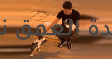 عمر كمال يطعم قطة فى الشارع: جايز تكون سبب دخولى الجنة "صورة"