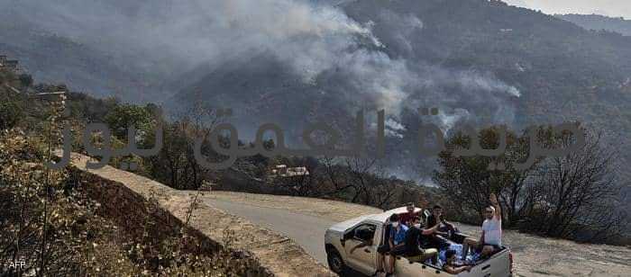 مبادرة لإحياء تراث غابات (تيزي وزو) المحترق باالجزائر