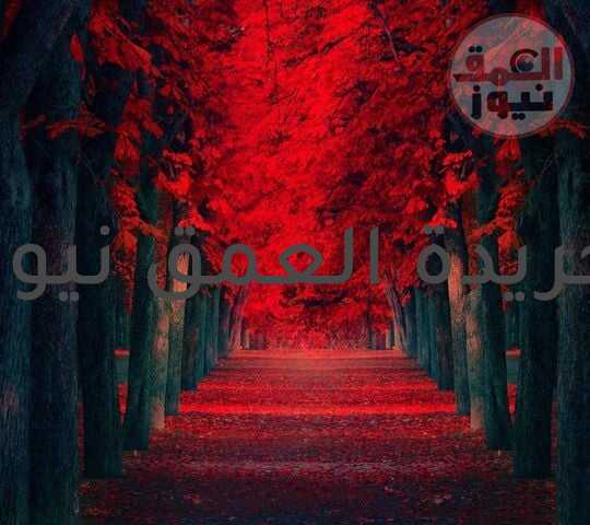 طريق آخر للحب