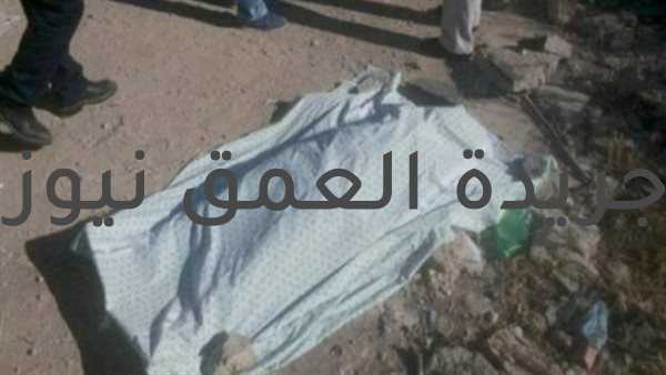 مصرع سيدة صدمتها سيارة ملاكي بالمنصورة