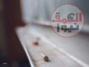 مصر..قضية الأمية من أهمية خاصة من الحكومة