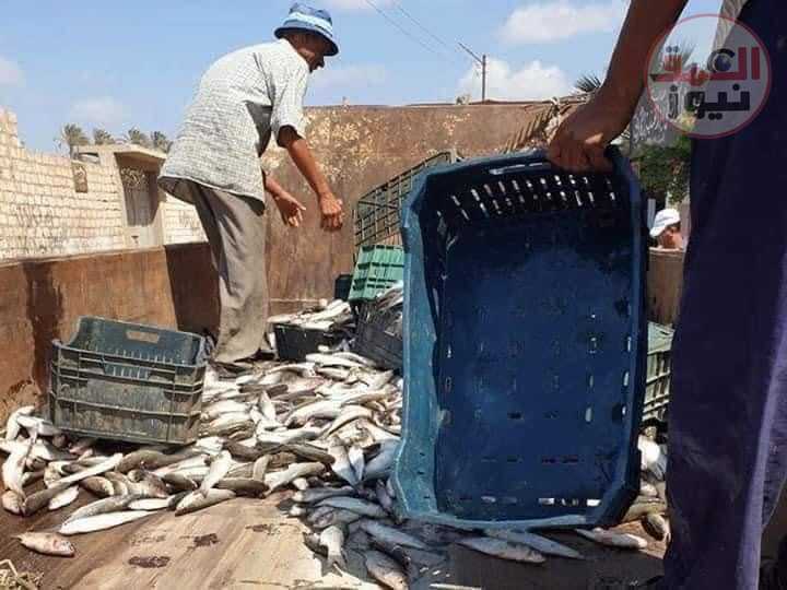 تحرير ٣٤٠ محضرا بحملات تموينية في دمياط