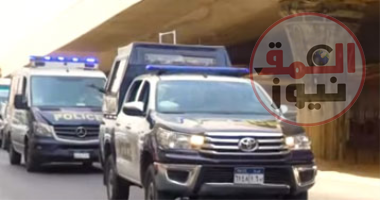 تحرير 35 محضرًا في حملة تموينية بالدقهلية