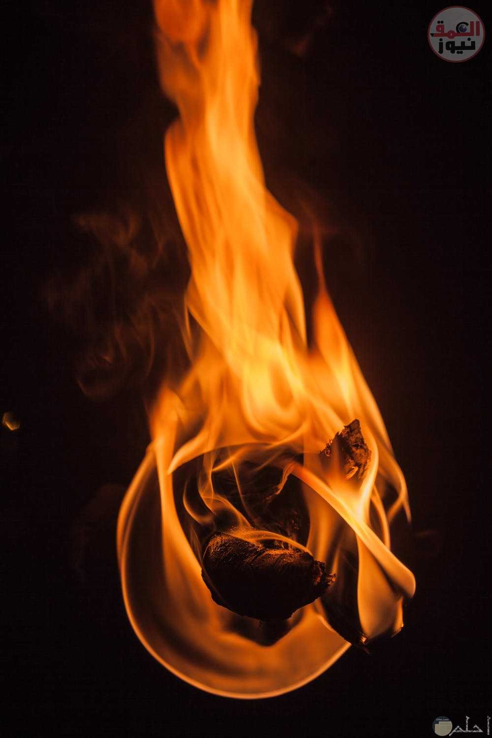 حبس الأم المتهة بإشعال النيران في نجلتها 4 أيام على ذمة التحقيقات بطنطا