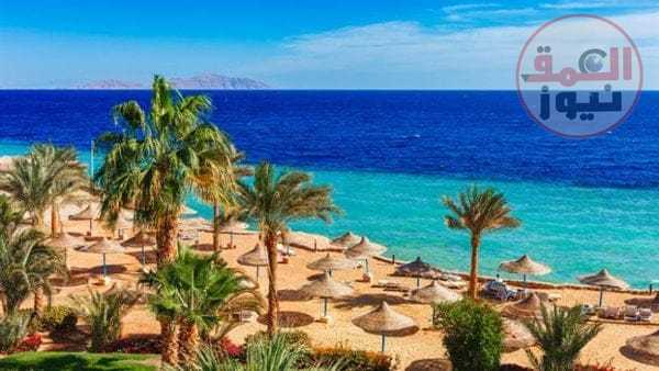 مطاري الغردقة ومرسي علم يستقبلون 17 ألف سائحا قبل 48 ساعة من احتفالات رأس السنة