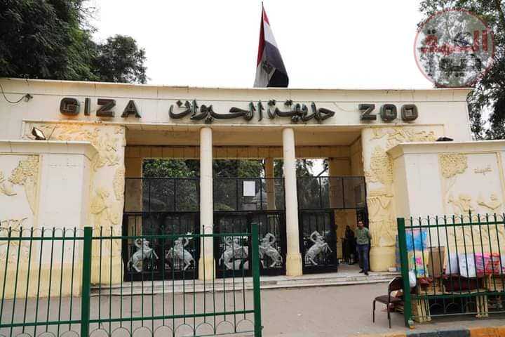 الزراعة: تنفي شائعة بيع حديقتي الحيوان والارومان وستظل تابعة لوزارة الزراعة (العمق نيوز)