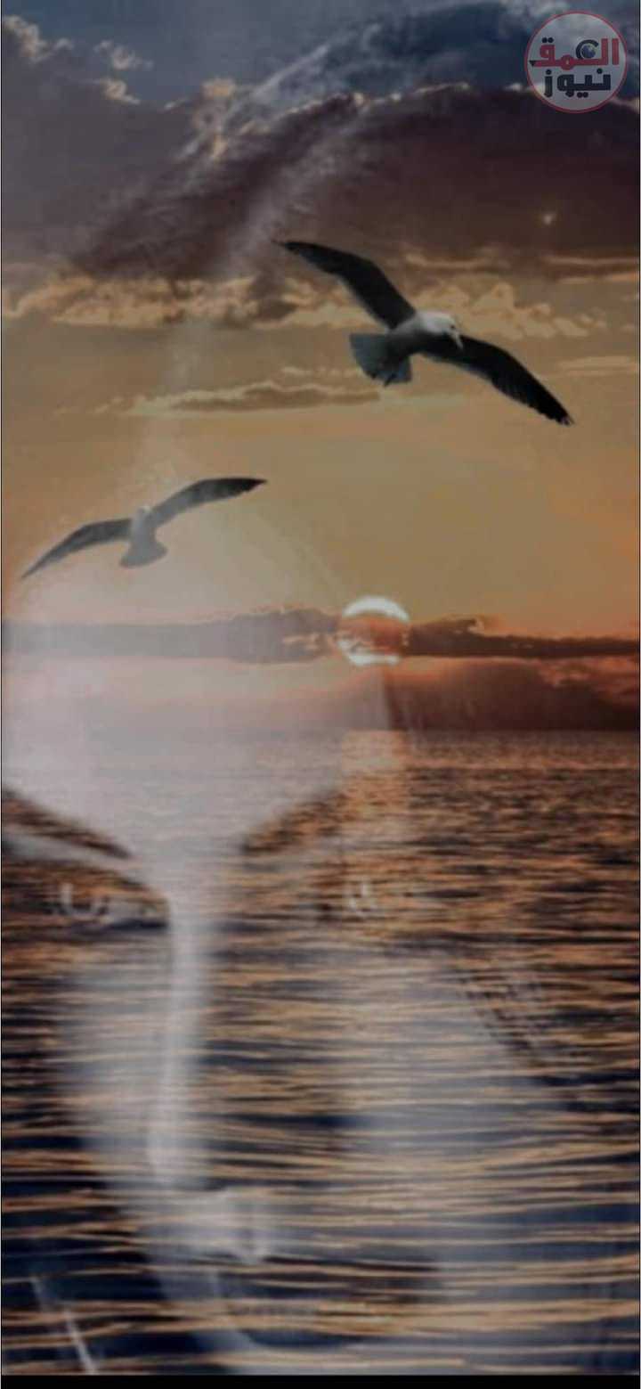 لاتتهميني بقتل الحنين إليك فظلما بقلم الكاتب /محمدعبدالله