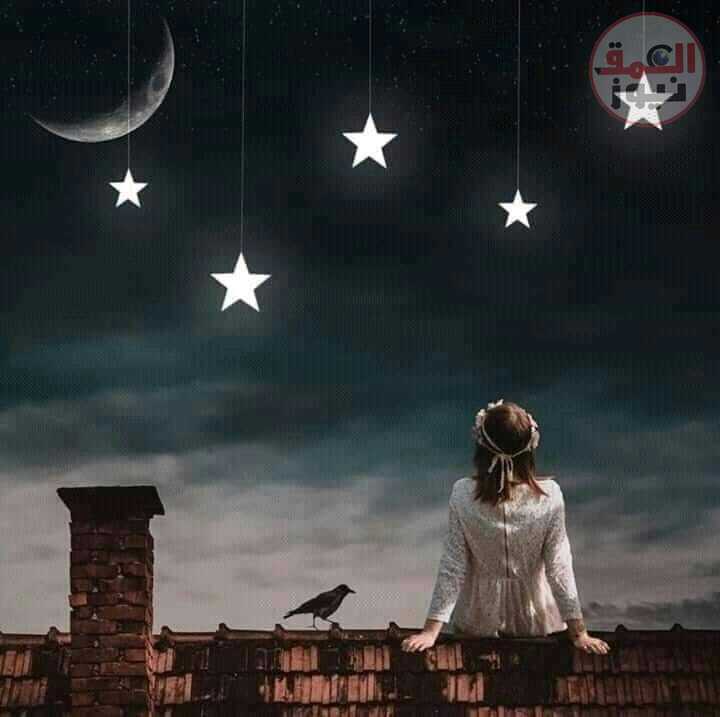 بقلم الكاتب /محمد عبدالله