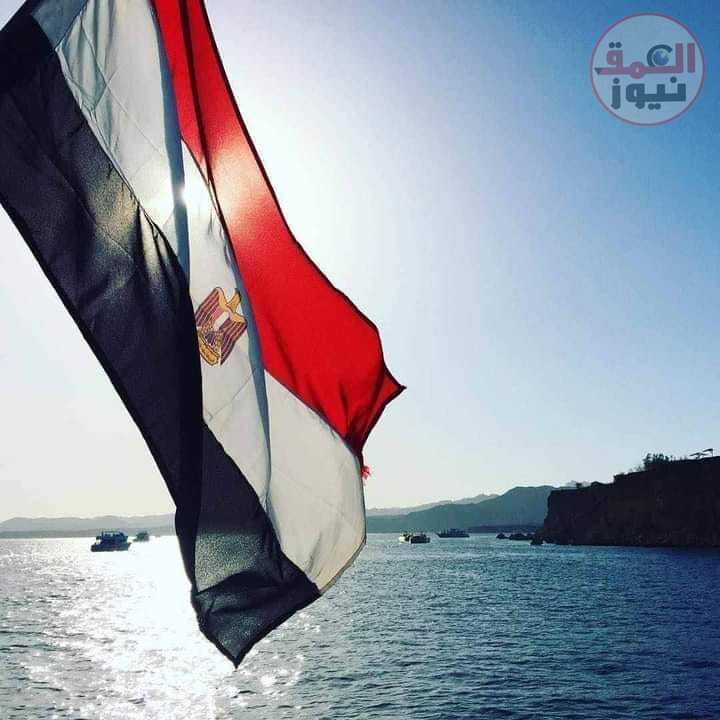 قد التحدى بقلم (الشاعرة سوسن النجار)