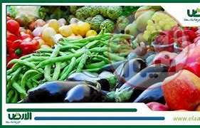 أسعار الخضروات والفاكهة في سوق العبور خلال تعاملات اليوم