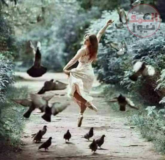 عنقود من مطر