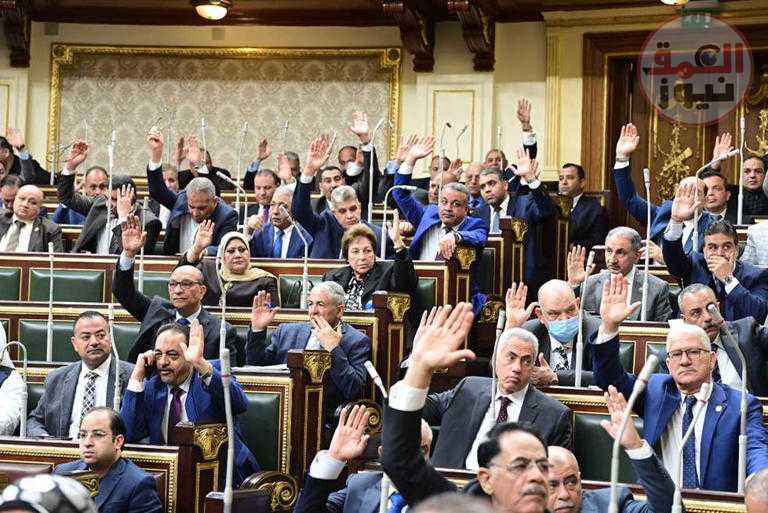 «النواب» يرفض طلب النائب العام برفع الحصانة عن «عيد حماد»
