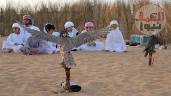 معرض أبوظبي الدولي للصيد والفروسية يُطلق مُسابقة "أجمل وأفضل وكر تقليدي للصقور"