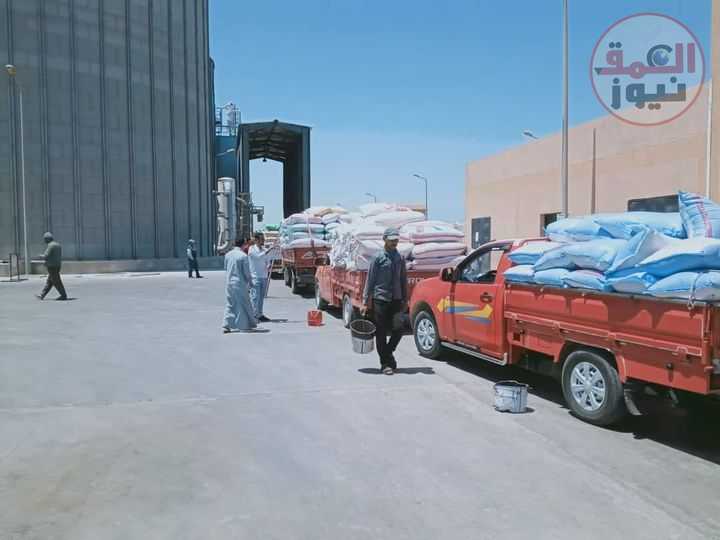 استقبال 218 الف طن قمح بالشرقية .. و المستهدف 650 الفا