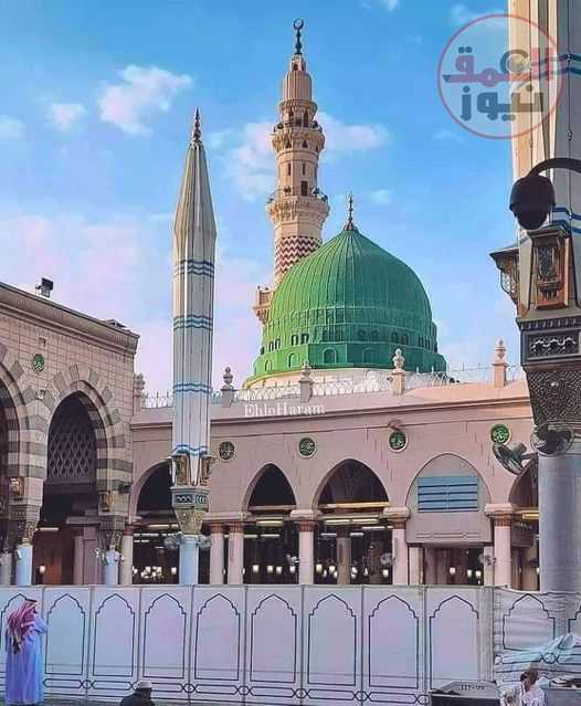 شرط الهوى فيكم