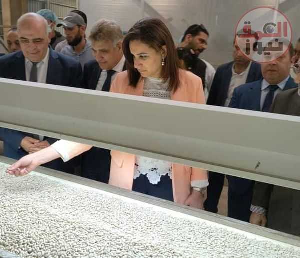 نائب محافظ البحيرة تتفقد إحدى شركات تصنيع وتجهيز وتعبئة الحاصلات الزراعية