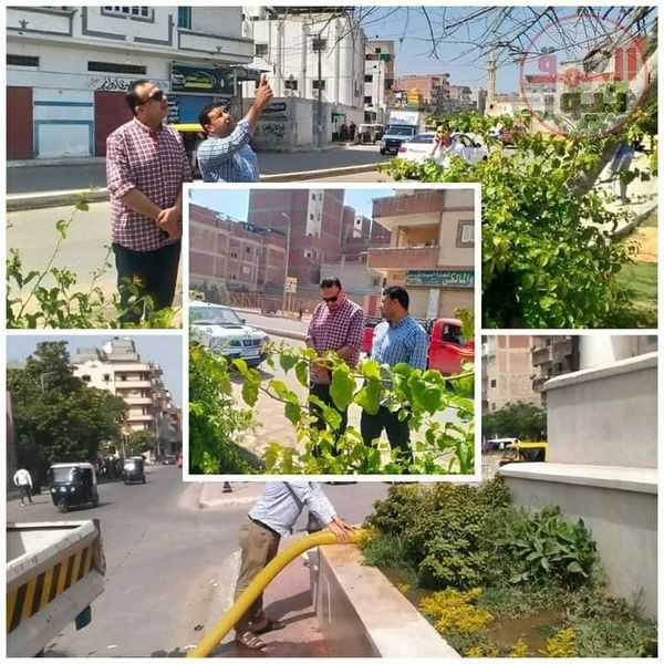 متابعه مستمرة للمبادرة الرئاسية "١٠٠ مليون شجرة" بالبحيرة