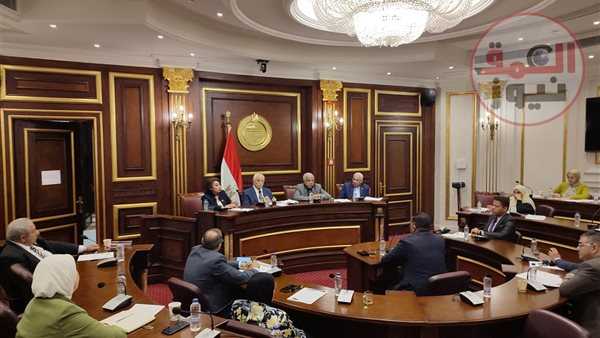 حقوق إنسان الشيوخ تناقش كيفية إزالة العقبات والمشكلات التي تواجه القادرون باختلاف في مصر