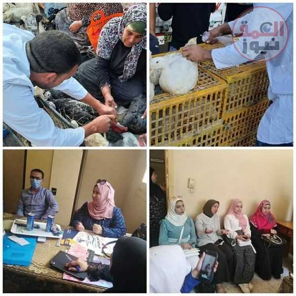 تحصين ٣٥٨١٩ رأس ماشية ضد الأمراض المختلفة وعلاج أكثر من ٢٠ ألف رأس