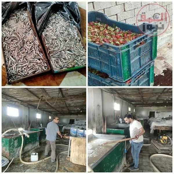 ضبط ٢ طن لحوم وأسماك وملح وفراولة غير صالحة للإستهلاك الآدمي البحيرة _ كتب : حسام النوام بمناسبة قُرب حلول عيد الأضحى المبارك، وتنفيذاً لتوجيهات الدكتورة نهال بلبع - نائب محافظ البحيرة بتكثيف الحملات الرقابية على كافة المنشآت الغذائية وخاصة