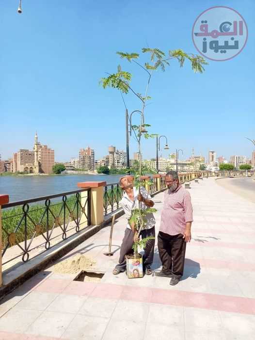 الضياء يبدأ اول جولاته بميت غمر بزراعة الأشجار المثمرة ضمن مبادرة القيادة السياسية بزراعة 100 مليون شجرة