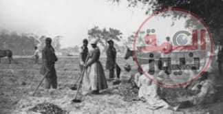 الإنسان يختلف عن الحيوان..