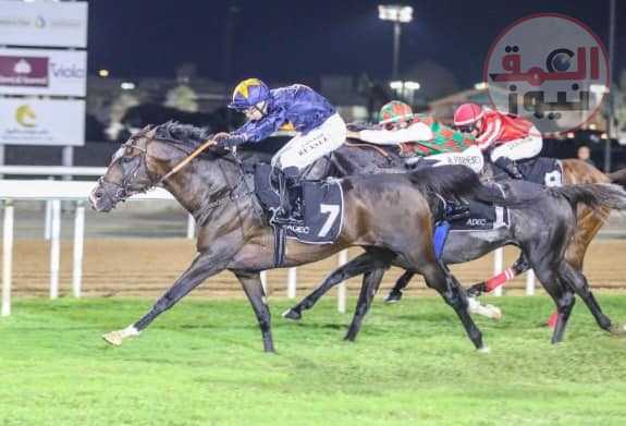 غدا انطلاق الملتقى العالمي للخيول العربية في أبوظبي برعاية سمو الشيخ منصور بن زايد آل نهيان