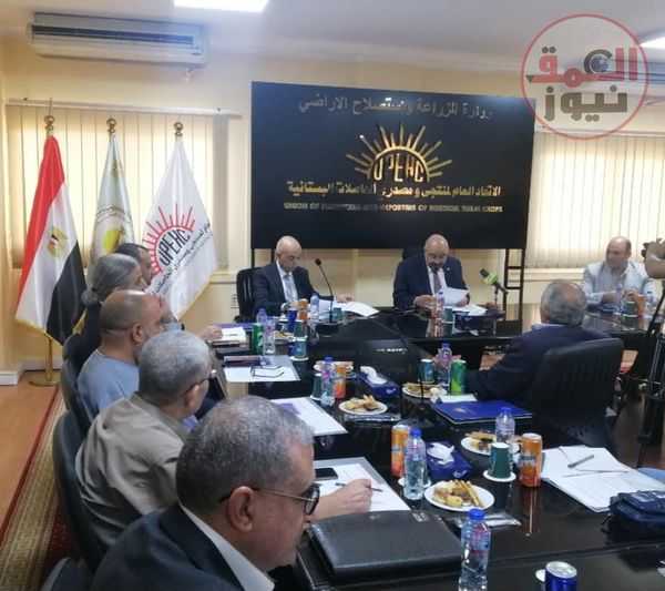 "الحاصلات البستانية" يدشن مجلس الفراولة.. لحل معوقات منتجي ومصدري الذهب الأحمر