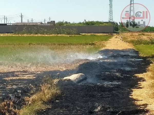 من داخل مركز السيطرة والتحكم بالديوان العام لمحافظة البحيرة ..