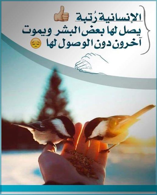 الإنسانية: ندرك معناها ونغفل عن تطبيقها