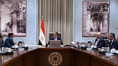 رئيس الوزراء يستعرض جهود تعزيز استدامة جهاز تنمية المشروعات المتوسطة والصغيرة ومتناهية الصغر